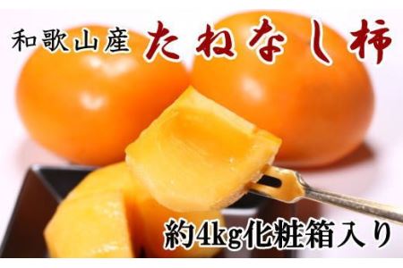 【秋の味覚】和歌山産のたねなし柿2L～4Lサイズ約4kg（化粧箱入り）※2024年10月上旬～11月上旬頃順次発送予定【tec409】