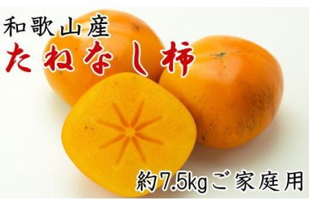 【秋の味覚】和歌山産のたねなし柿ご家庭用約7.5kg　※2024年10月上旬～11月上旬頃発送予定【tec410A】