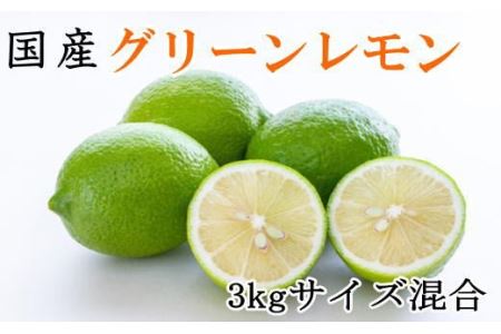 【産直】和歌山産グリーンレモン約3kg（サイズ混合）※2024年10月中旬～11月中旬頃より順次発送【tec506】