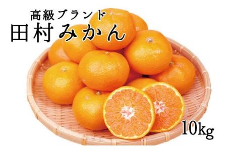 高級ブランド田村みかん 10kg サイズお任せ ※2024年11月下旬頃〜2025年1月下旬頃に順次発送予定(お届け日指定不可)【uot505】