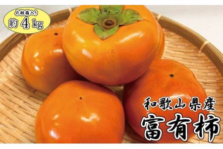 和歌山秋の味覚　富有柿　約4kg　化粧箱入　※2024年11月上旬頃〜2024年11月下旬頃に発送（お届け日指定不可）【uot703】