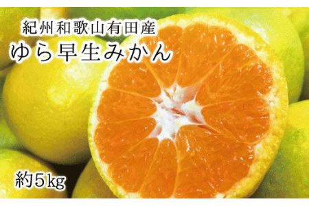 紀州和歌山有田産ゆら早生みかん 5kg サイズお任せ ※2024年10月中旬頃～2024年10月下旬頃順次発送（お届け日指定不可）【uot721】