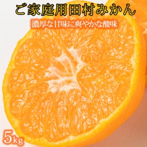 【ご家庭用訳あり】田村みかん5kg ※2024年11月下旬頃〜2025年1月下旬頃に順次発送予定(お届け日指定不可)【uot754】