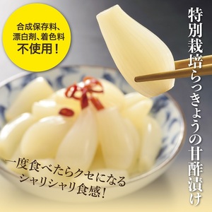 【0414】特別栽培らっきょうの甘酢漬(5袋セット)