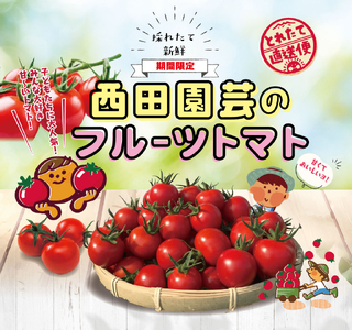 【1402】フルーツトマト1.6kg