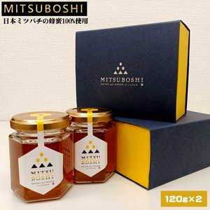 蜜星 -MITSUBOSHI- 日本ミツバチの蜂蜜100%使用 （120g×2本入りギフトセット）【天満屋選定品】