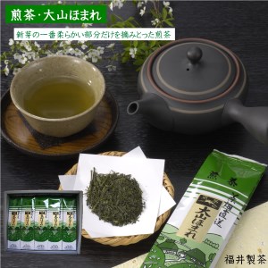 「煎茶　大山ほまれ」100g×5本セット