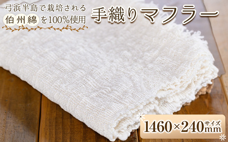 伯州綿マフラー(1枚)日本製 マフラー 国産 日本製 白 ホワイト 綿100％ 手紡ぎ 手織り【sm-BC001】【浜っ子】