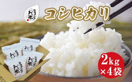 日置さん家のお米「コシヒカリ」2kg×4袋【無洗米・2024年産】