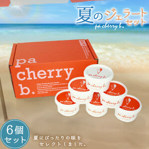 PC-04 pa cherry b.サマーセレクション6種6個セット