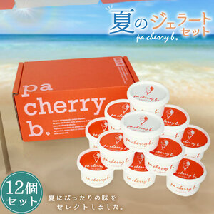 PC-05 pa cherry b.サマーセレクション12種12個セット