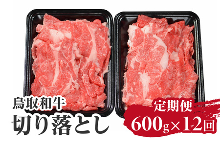 定期便 鳥取和牛 切り落とし 600g×12回 合計7.2kg HN51 【やまのおかげ屋】