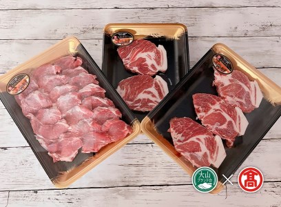 ＜鳥取東伯ミート＞大山ルビーとんかつ肉セット 肩ロース ヒレ（大山ブランド会）米子高島屋 22-CL3 0849