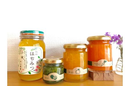 【定期便年5回】季節の果実、野菜の無添加ジャム&純粋蜂蜜テーブルセット【1649】