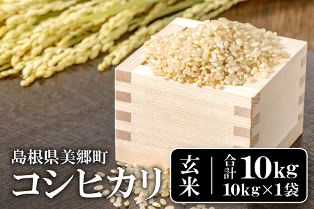 【令和5年産】石見地方 美郷町産 コシヒカリ 玄米 10kg