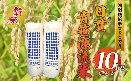 【令和5年産】特別栽培米コシヒカリ 日貫青笹源流米 10kg（5kg×2袋）令和5年10月よりお届け
