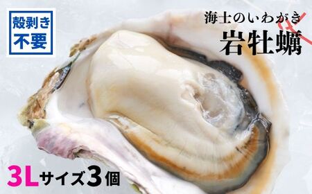 【のし付き】ブランド岩牡蠣「春香」殻なし巨大3Lサイズ×3個（960g～1.2kg）殻剥き不要 お歳暮に