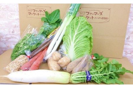 A-05　季節の野菜ふるさとパック