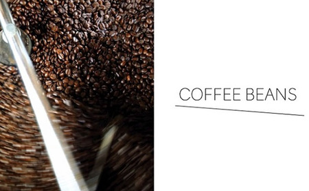 スペシャルティ コーヒー 4種の飲み比べセット（200g×4種）【豆or粉】 豆のまま