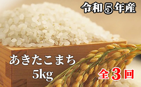 【3回定期便】白米 5kg 令和5年産 あきたこまち 岡山 「おおがや米」生産組合 G-bf-BCZA