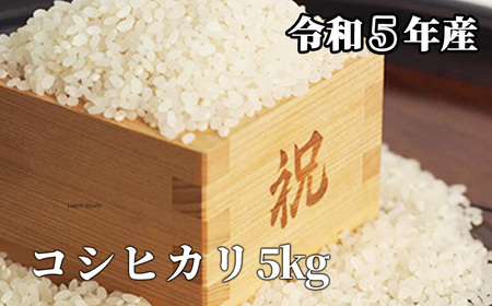 白米 5kg 令和5年産 コシヒカリ 岡山 「おおがや米」生産組合 G-af-ACZA