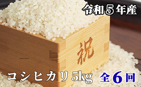 【6回定期便】白米 5kg 令和5年産 コシヒカリ 岡山 「おおがや米」生産組合 G-af-CCZA