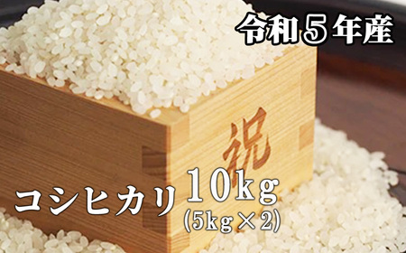 白米 10kg 令和5年産 コシヒカリ 岡山 「おおがや米」生産組合 G-ag-ACZA