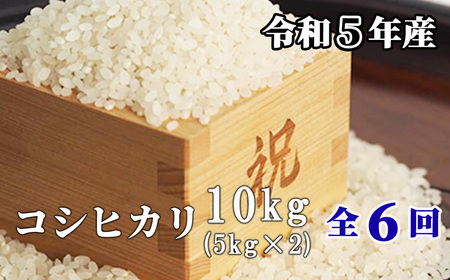 【6回定期便】白米 10kg 令和5年産 コシヒカリ 岡山 「おおがや米」生産組合 G-ag-CCZA