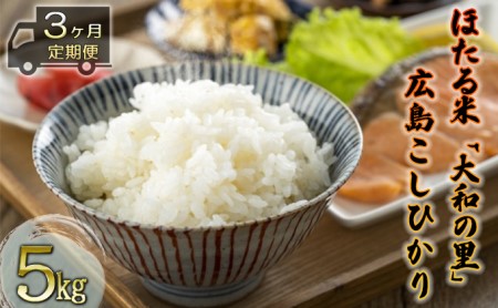 【3ヶ月定期便】ほたる米「大和の里」広島こしひかり 5kg