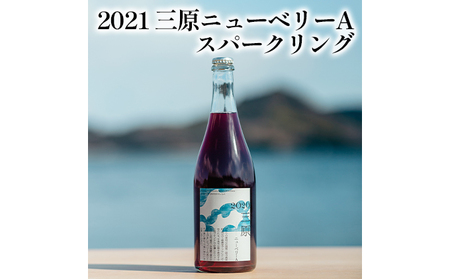 ワイン 三原 ニューベリーA スパークリング 果実酒 2021
