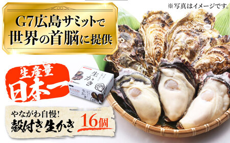 広島G7で提供された牡蠣！【着日指定可能】やながわ自慢！殻付き 牡蠣 16個（約2kg） かき 海鮮 和食 海産物 簡単 レシピ 広島県産 江田島市/マルサ・やながわ水産有限会社[XBL010]