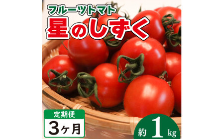  フルーツトマト 定期便 1kg 3回 先行予約 2024年11月上旬 ~ 順次出荷 野菜 トマト 薄皮 星のしずく 完熟 高糖度 糖度 8度 スイーツ ジュース パスタ ソース サラダ ギフト 贈答用 徳島県 阿波市 原田トマト 