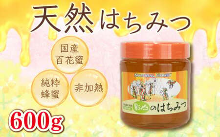 先行予約 はちみつ 蜂蜜 国産 600g 非加熱 瓶入り 百花蜜 百花蜂蜜 純粋 プレゼント 贈答用 徳島県 阿波市 影山養蜂研究所 無添加 百花蜂蜜 百花はちみつ 純粋はちみつ 生はちみつ 天然はちみつ 天然蜂蜜 蜂蜜 はちみつ ハニー