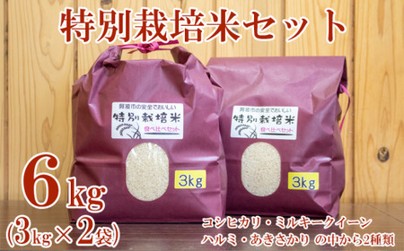 米 特別栽培米 食べ比べ セット 6kg 3kg×2袋 コシヒカリ ミルキークイーン ハルミ あきさかり 令和5年産 お米 精米 ライス おにぎり 徳島県 阿波市 