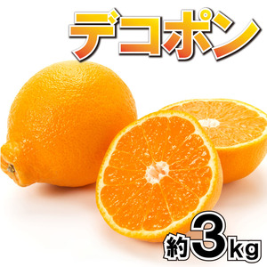 デコポン 柑橘 化粧箱入り  約3kg