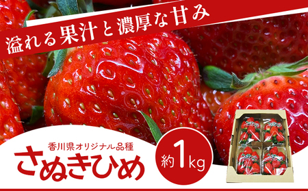 香川県オリジナル品種！ さぬきひめ苺 1kg