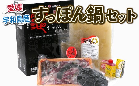 すっぽん 料理 セット 精肉 550g 甲羅 120g たれ エンペラー からし酢みそ エンペラー 活血 スープ 水幸苑 鍋セット カット済み 鼈 切り身 本格料理 簡単調理 冷凍 濃縮 コラーゲン 美容 疲労回復 スタミナ 雑炊 産地直送 国産 愛媛 宇和島 D042-103006 ｽｰﾌﾟ ｽｰﾌﾟ ｽｰﾌﾟ ｽｰﾌﾟ ｽｰﾌﾟ ｽｰﾌﾟ ｽｰﾌﾟ ｽｰﾌﾟ ｽｰﾌﾟ ｽｰﾌﾟ ｽｰﾌﾟ ｽｰﾌﾟ ｽｰﾌﾟ ｽｰﾌﾟ ｽｰﾌﾟ ｽｰﾌﾟ ｽｰﾌﾟ ｽｰﾌﾟ ｽｰﾌﾟ ｽｰﾌﾟ ｽｰﾌﾟ ｽｰﾌﾟ ｽｰﾌﾟ ｽｰﾌﾟ ｽｰﾌﾟ すっぽん すっぽん すっぽん すっぽん すっぽん すっぽん すっぽん すっぽん すっぽん すっぽん すっぽん すっぽん すっぽん すっぽん すっぽん すっぽん すっぽん すっぽん すっぽん すっぽん すっぽん すっぽん すっぽん すっぽん すっぽん すっぽん すっぽん すっぽん すっぽん すっぽん すっぽん すっぽん すっぽん すっぽん すっぽん すっぽん すっぽん すっぽん すっぽん すっぽん すっぽん すっぽん すっぽん すっぽん すっぽん すっぽん すっぽん すっぽん すっぽん すっぽん