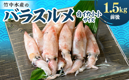 竹中水産のバラスルメ(白イカの小小サイズ)1.5kg【C22-271】【配送不可地域：離島】【1115289】
