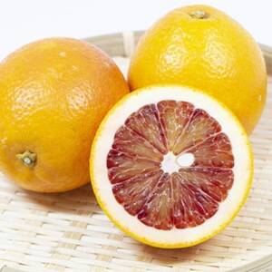 小林果園のブラッドオレンジ(約5kg)【C24-24】【1124430】