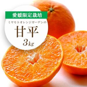 【2025年1月下旬以降発送】愛媛限定栽培柑橘 甘平(かんぺい)3kg【1268366】