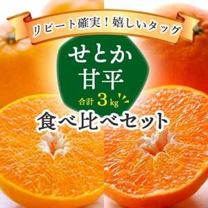 愛媛の人気柑橘2品種をセットに!せとか・甘平 食べ比べ 合計3kg【訳あり】【1358701】
