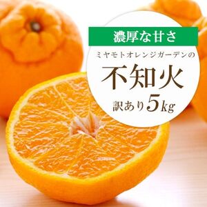 【2025年2月以降発送】デコポンと同品種 濃厚柑橘 不知火5kg【訳あり】【C25-139】【1138007】