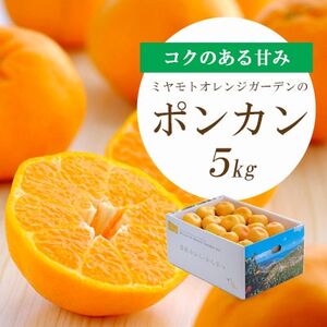【2025年1月以降発送】愛媛の新春柑橘 芳醇な香りのポンカン5kg【D25-124】【1248058】