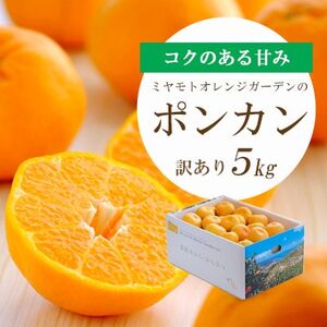 【2025年1月以降発送】愛媛の新春柑橘 芳醇な香りのポンカン 5kg【訳あり】【C25-135】【1248059】