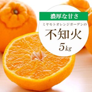 【2025年2月以降発送】デコポンと同品種 濃厚柑橘 不知火(しらぬい) 5kg【D25-125】【1268367】