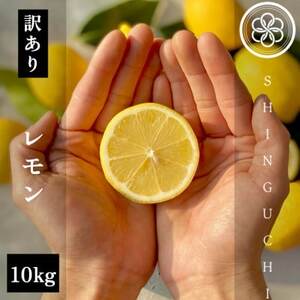 【訳あり】新口農園 レモン 10kg【E70-23】【1470681】