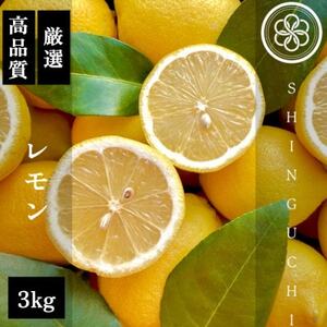新口農園厳選 レモン 3kg【C70-20】【1470687】