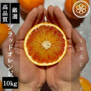 【真っ赤な高級柑橘】新口農園厳選 ブラッドオレンジ 10kg【F70-19】【1470694】