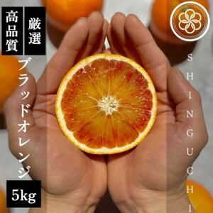 【真っ赤な高級柑橘】新口農園厳選 ブラッドオレンジ 5kg【C70-18】【1470701】