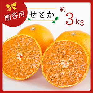 コウ果樹園の「柑橘の大トロ　せとか3kg」【C33-1】【1269378】